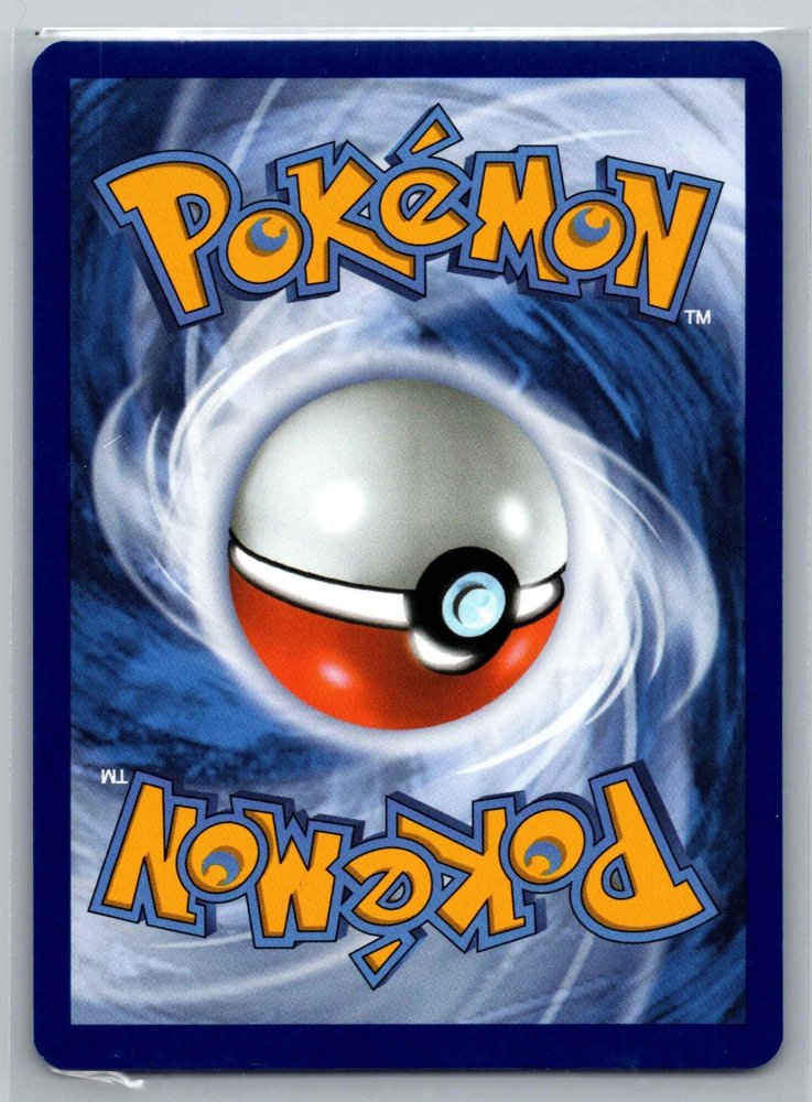 Seel back