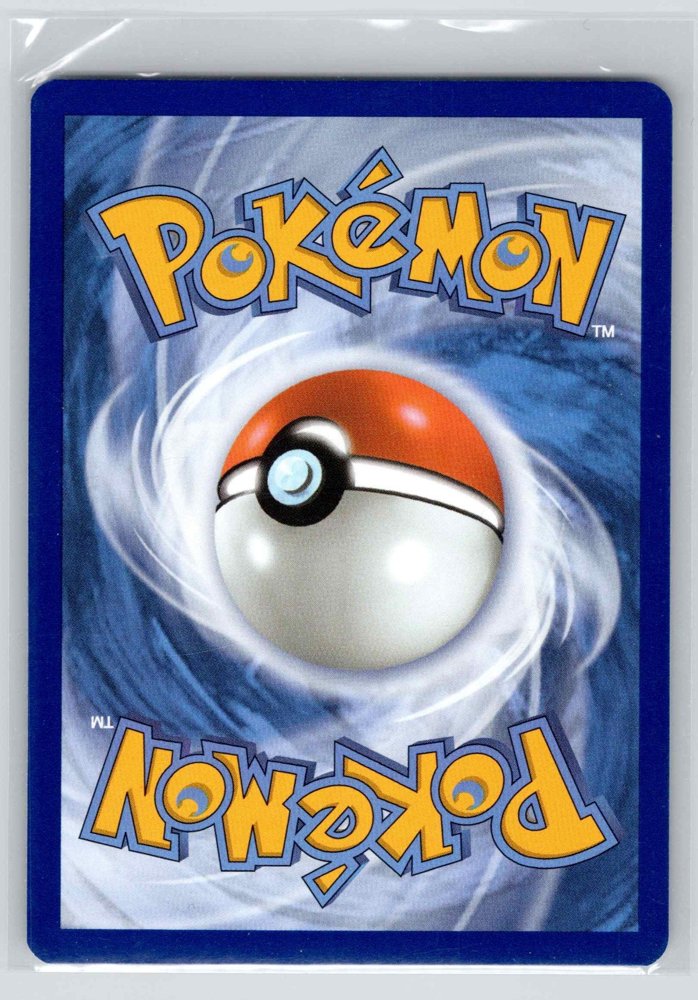 Pikipek back