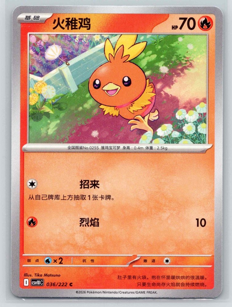 Torchic (火稚鸡) front