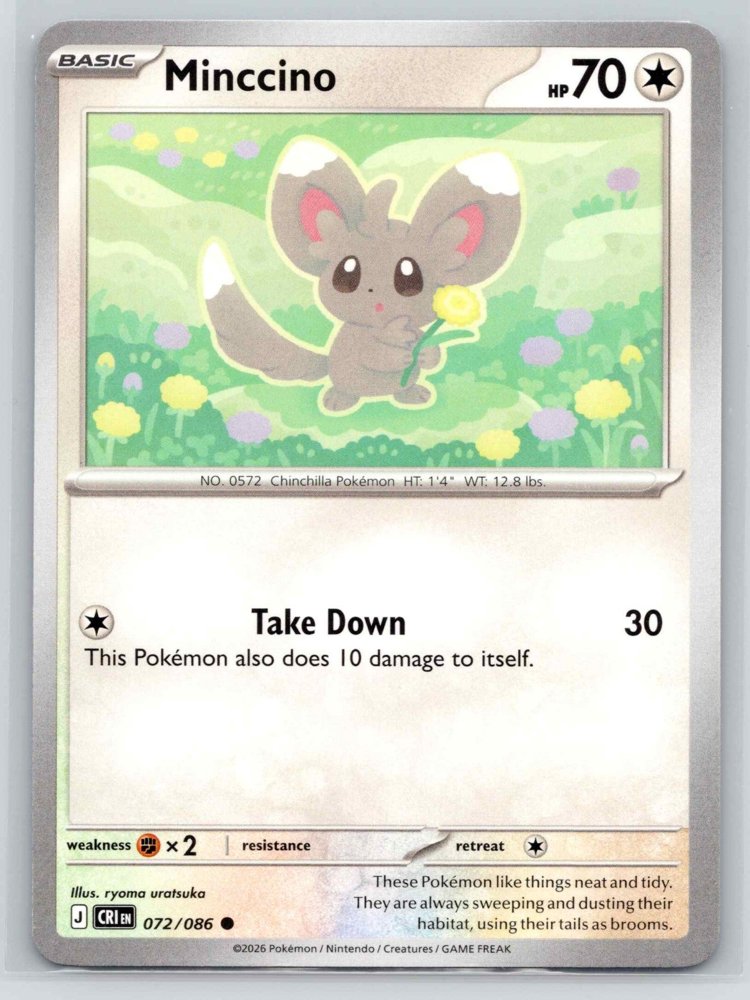 Minccino front