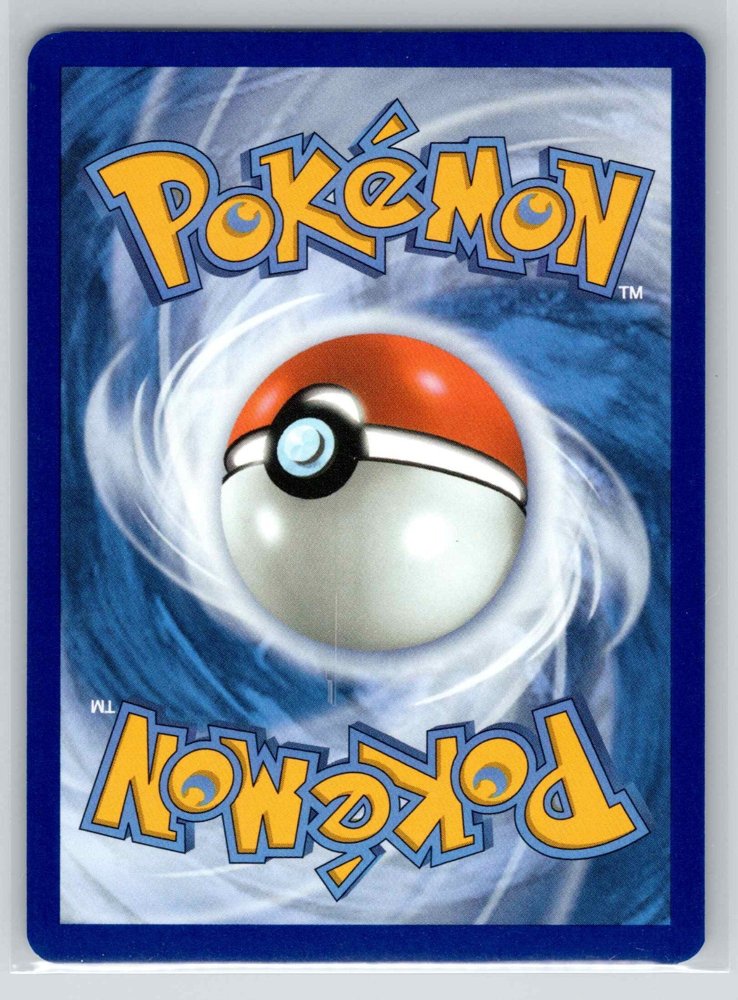 Seel back