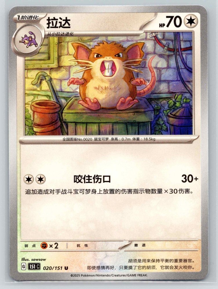 Raticate (拉达) front