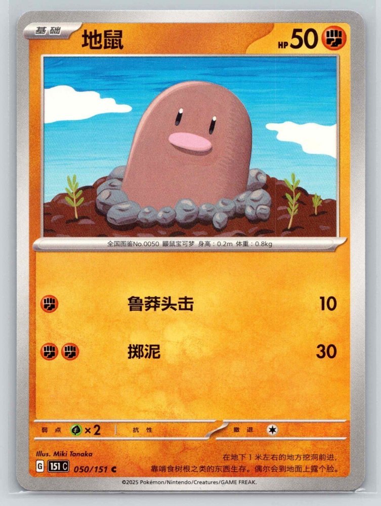 Diglett (地鼠) front