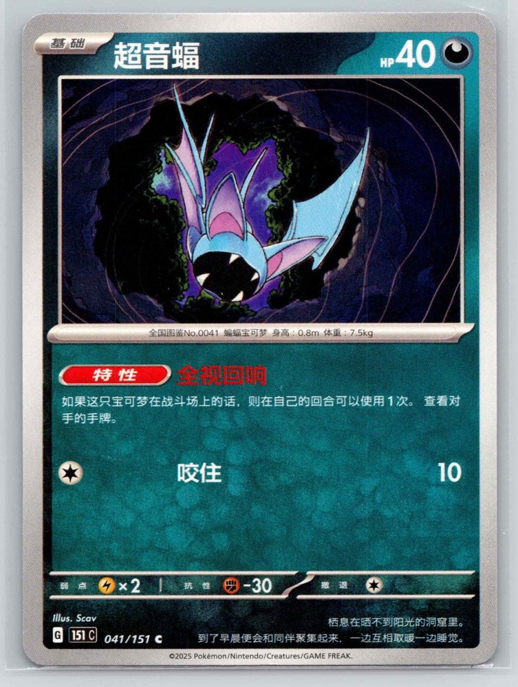 Zubat (超音蝠) front