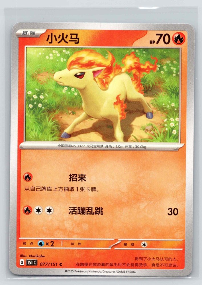 Ponyta (小火马) front