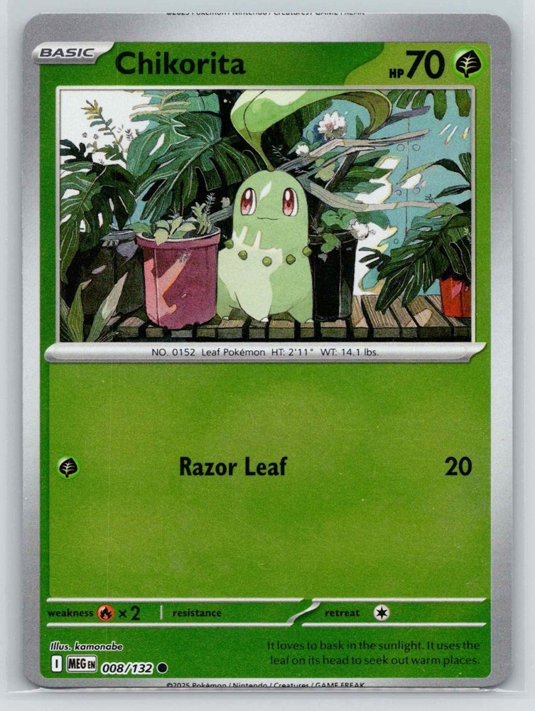 Chikorita front