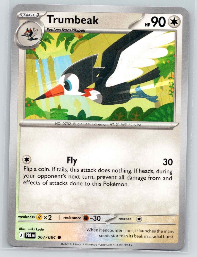Trumbeak front