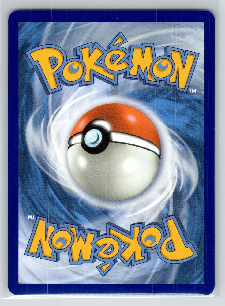 Skarmory back