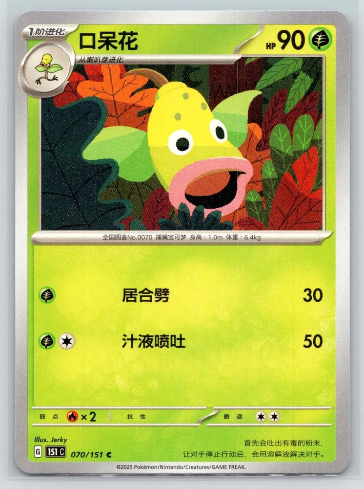 Weepinbell (口呆花) front