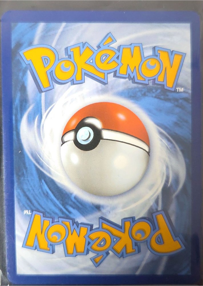 Kyogre back