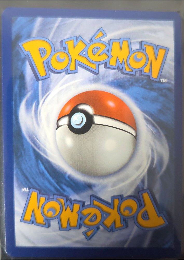Morpeko back
