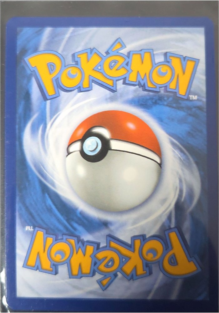 Seismitoad back