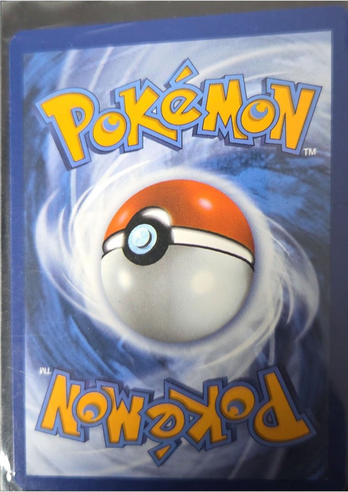 Piplup back