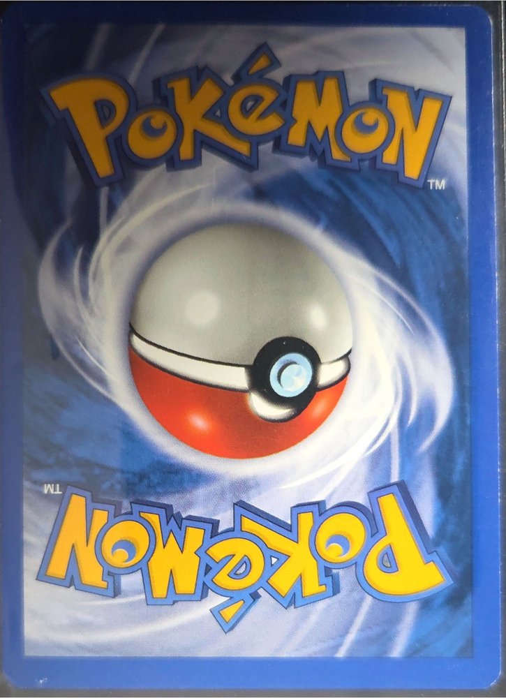 Cyndaquil back