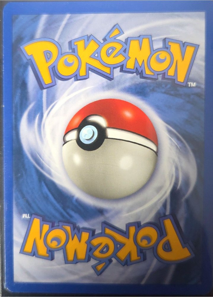 Cyndaquil back