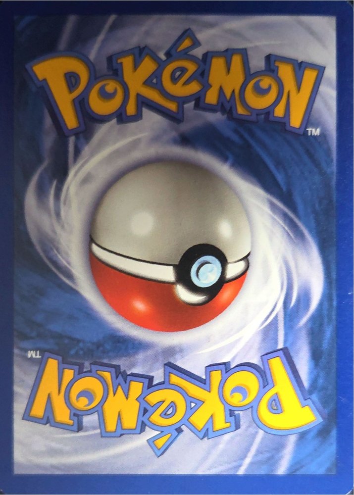Squirtle back