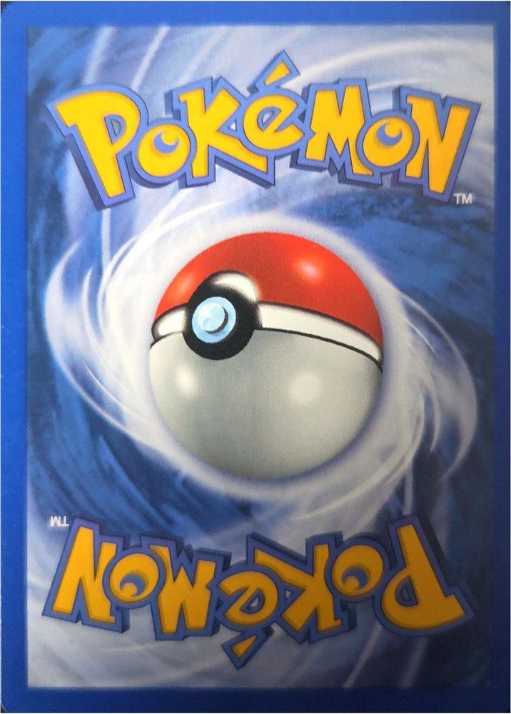 Hoothoot back