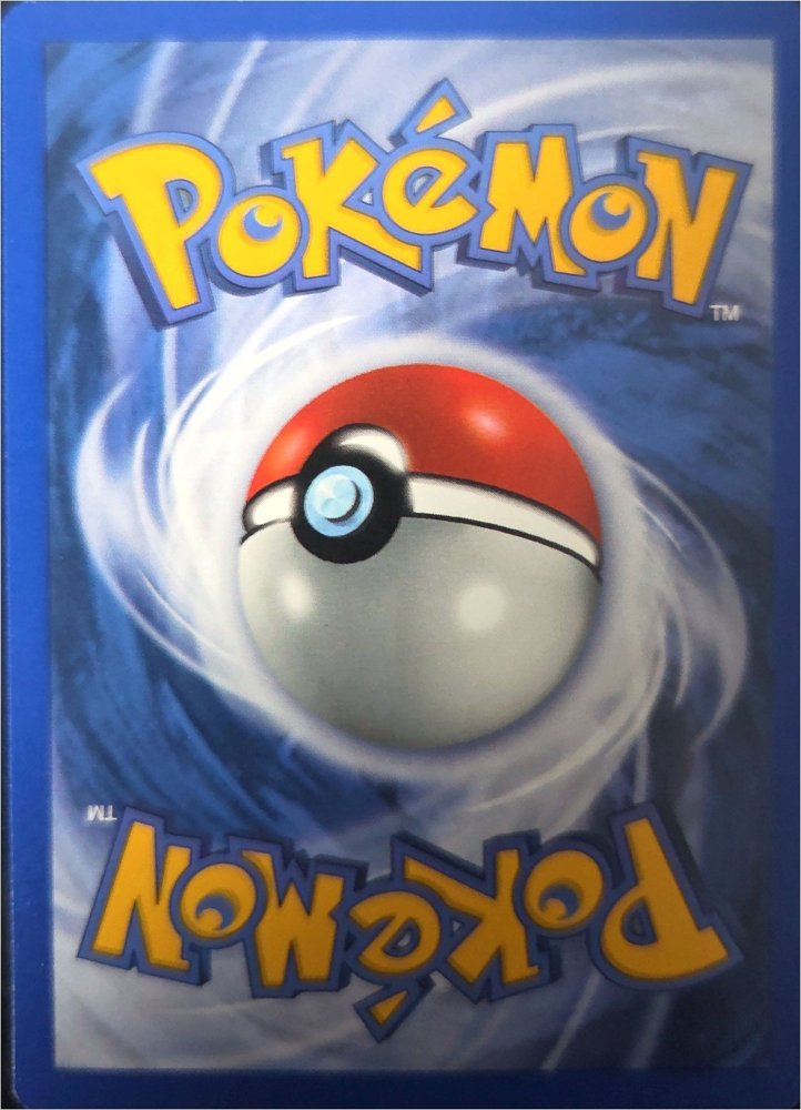 Ledyba back