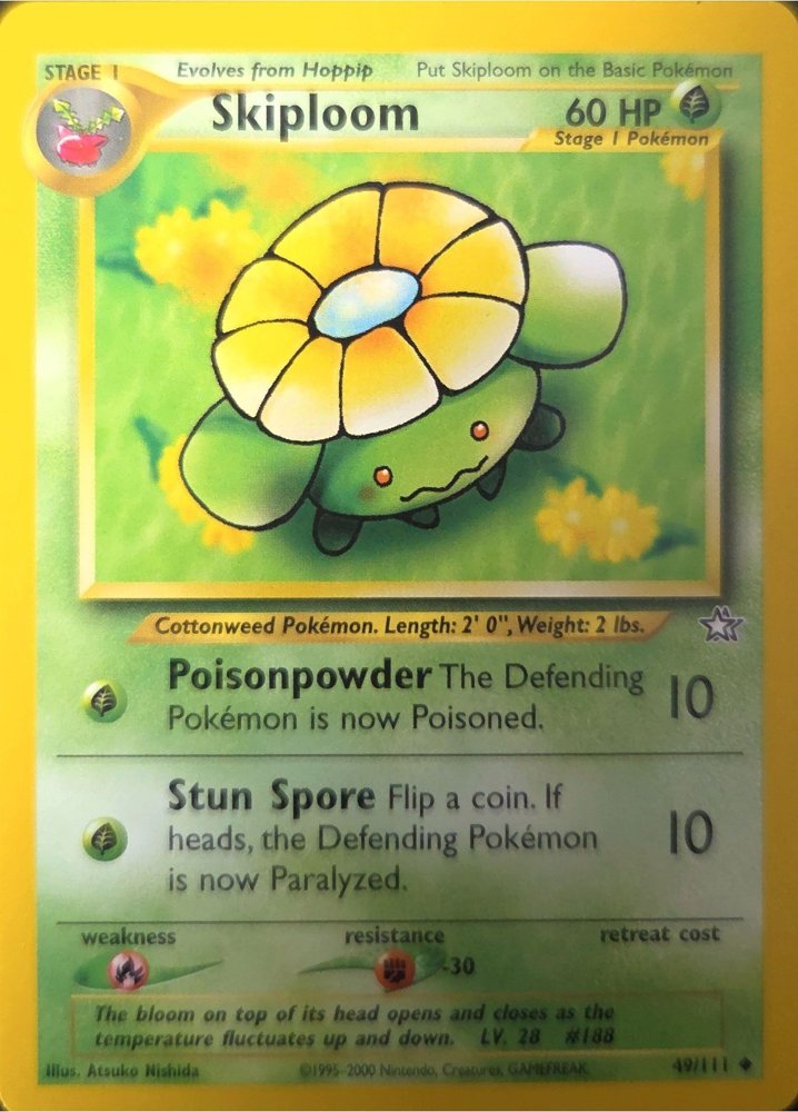 Skiploom