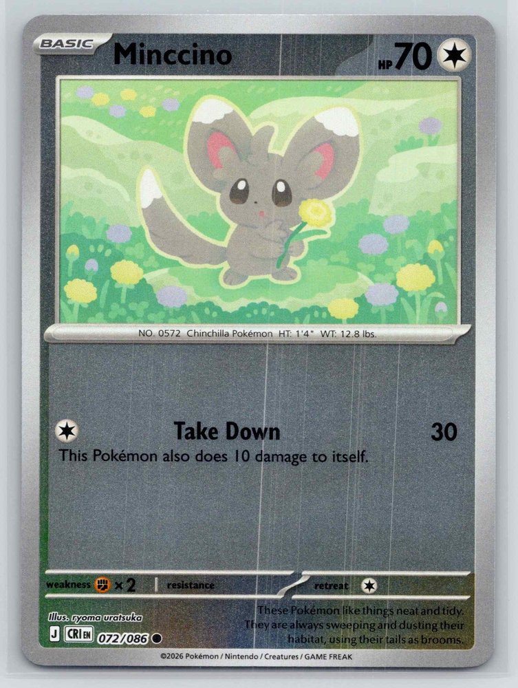 Minccino front