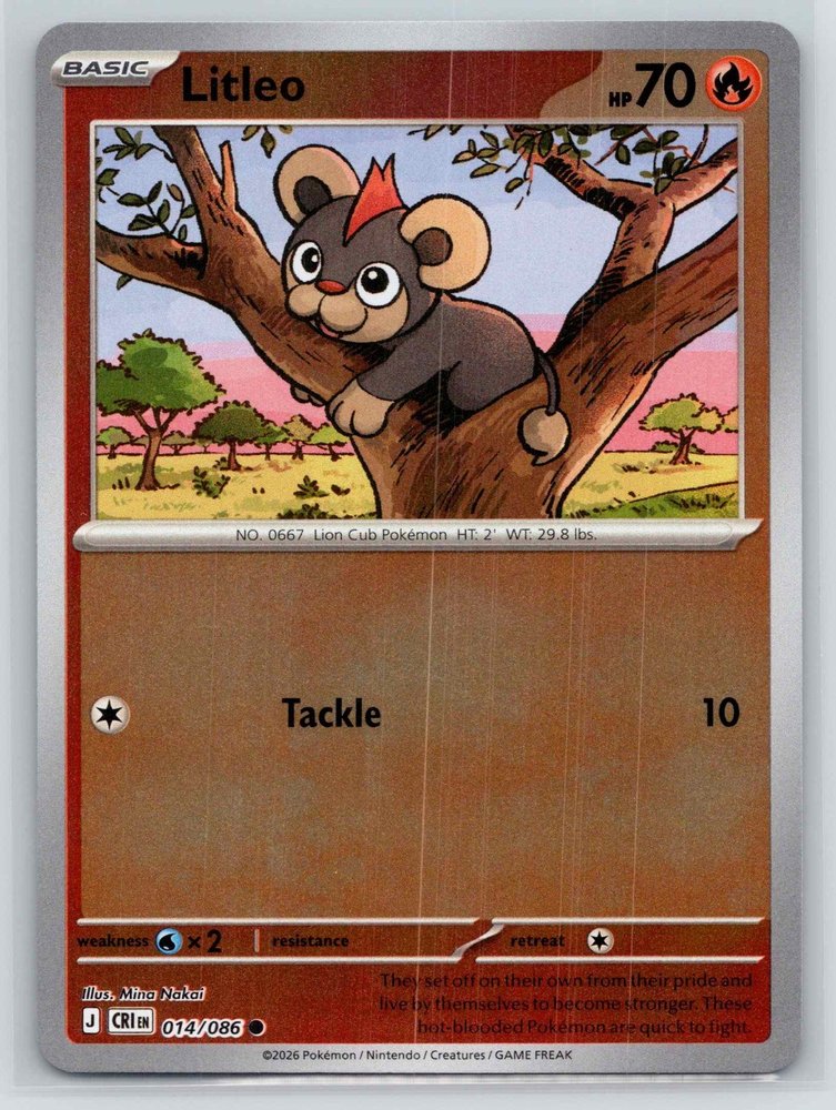 Litleo front