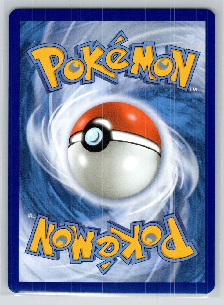 Quilladin back